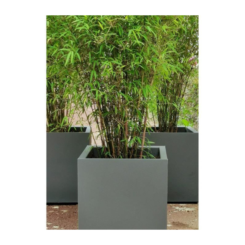 GRANITE CONTAINER 30x30 GRAY
