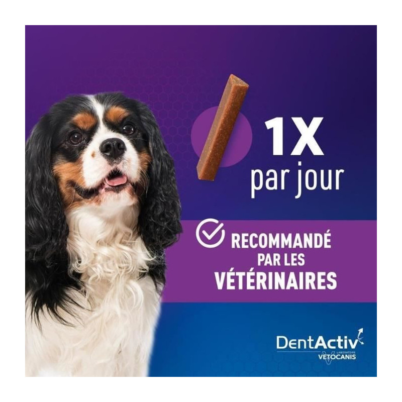DentActiv - 12 Sticks - VETOCANIS - Mini Oral Hygiene Sticks with Chic