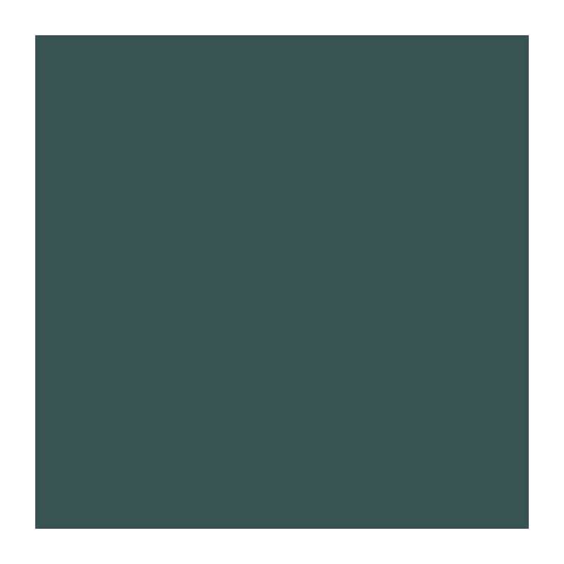 RIPOLIN Ultra Covering Matt Color Paint - Army Green