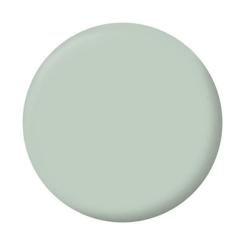 RIPOLIN Velvet Color Paint for Walls, Woodwork, Radiators - Palatino G