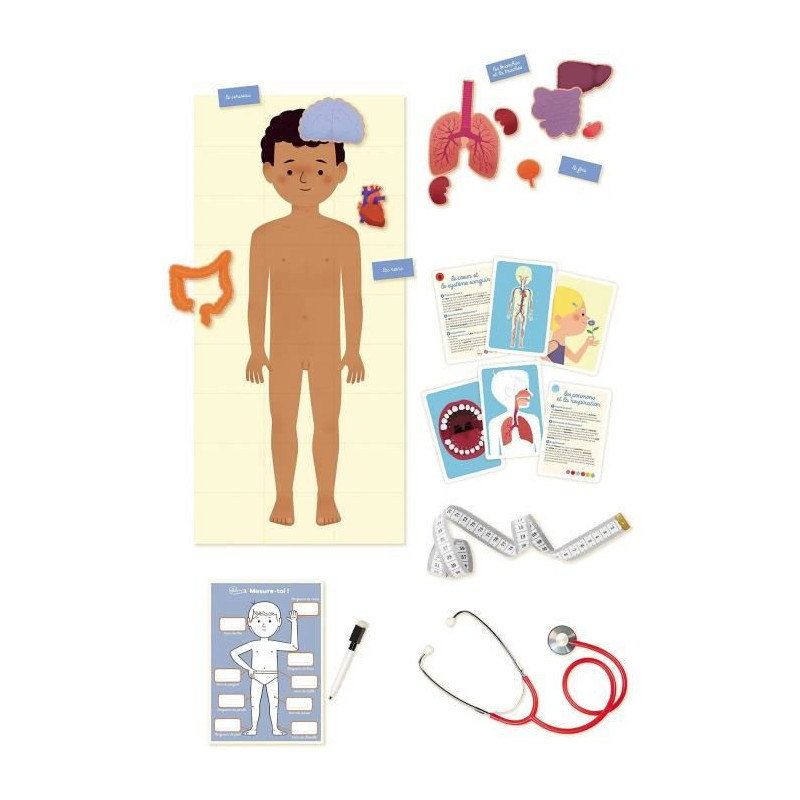 The human body NATHAN - Learning games