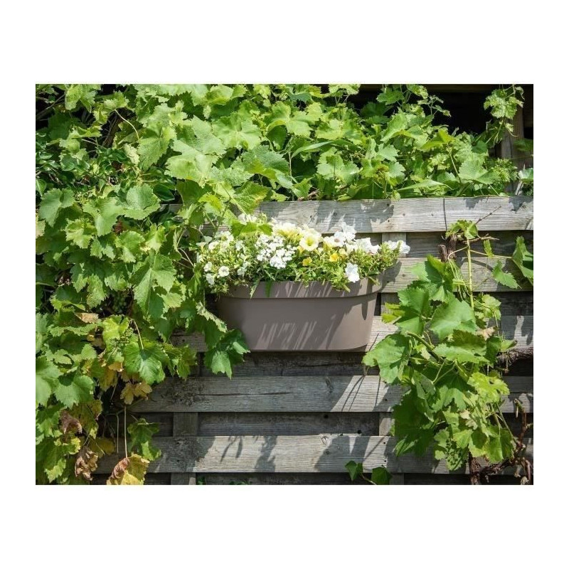 Planter + hook - GARDEN ID Star - Taupe 50 x 21 cm - Easy fixing - Wat