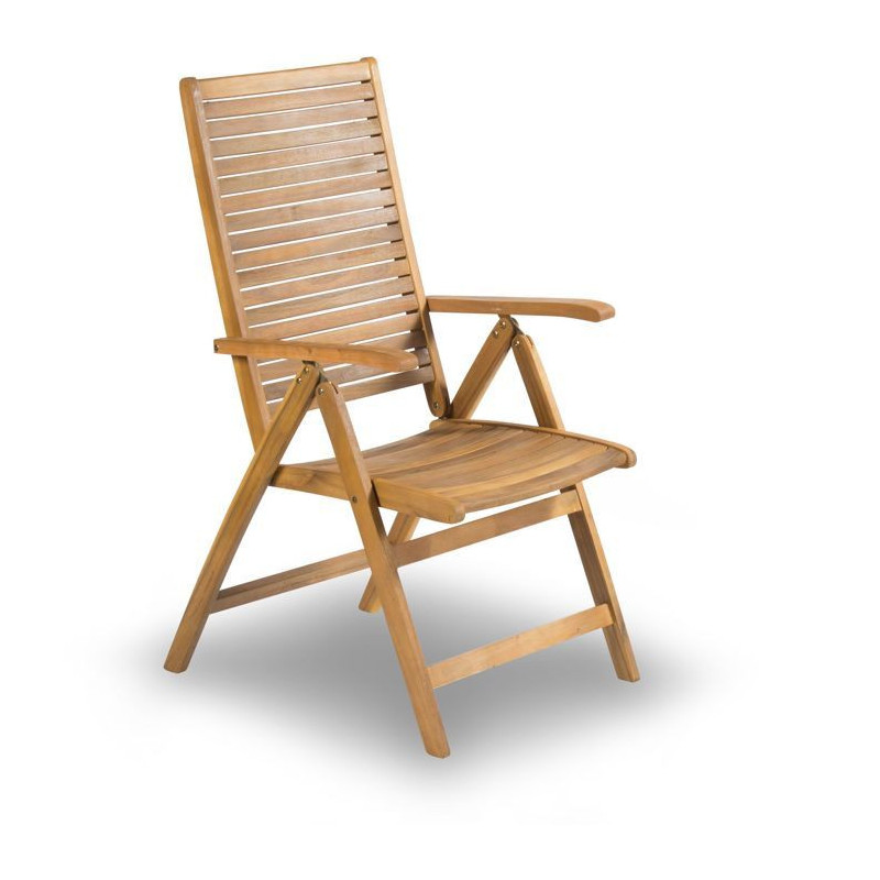 Adjustable chair - Fieldmann - FDZN 4101-T