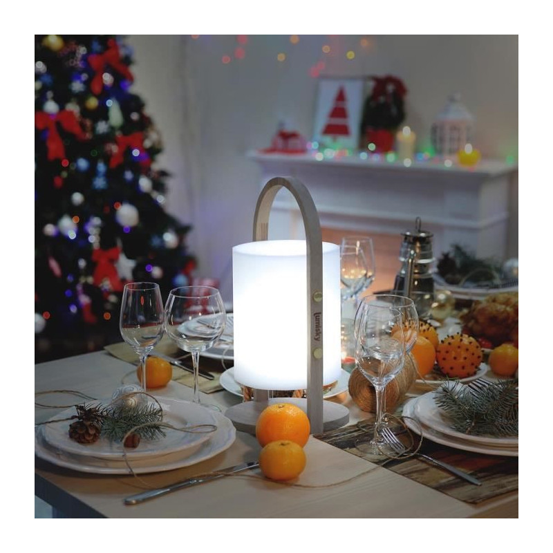 LUMISKY Woody LED wireless lantern - H 37 cm - White