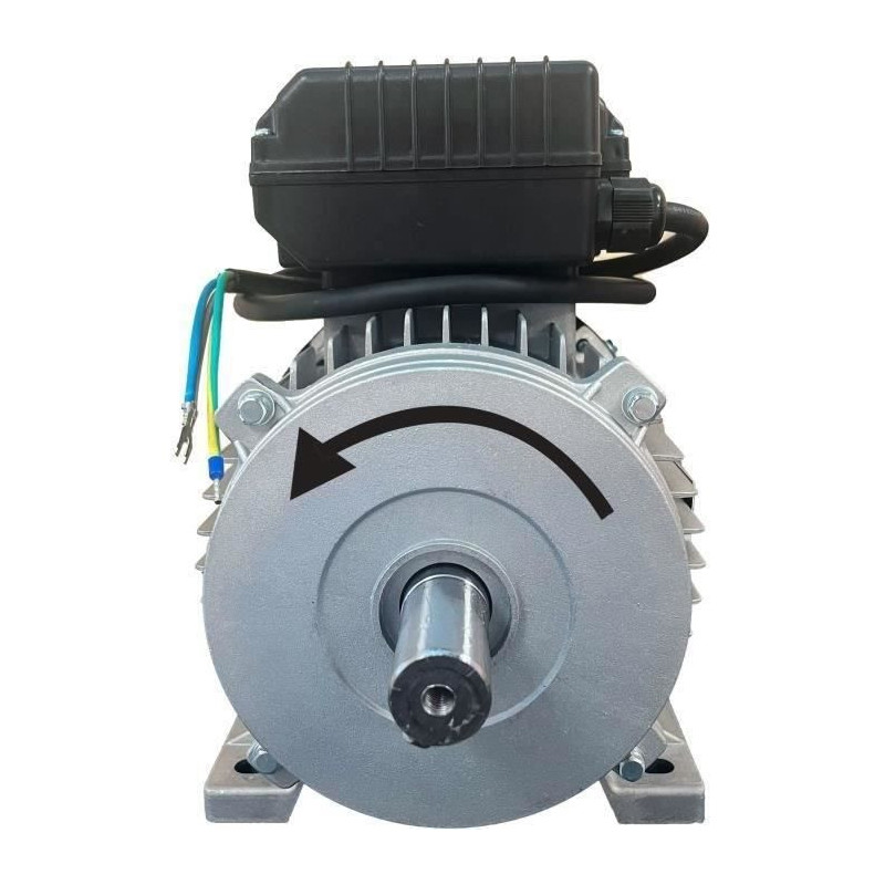 DOMAC Electric motor 3cv / 230V with pulley