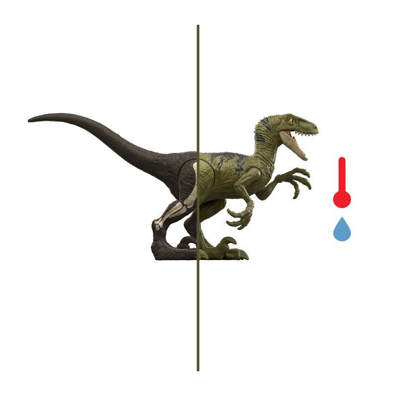 Jurassic World Dino Reveal Assortment JDC52 - Ages 4+ - Random Model