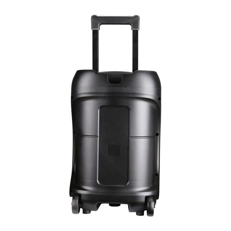 Trolley speaker - INOVALLEY - KA122 - 700W - Bluetooth - Illuminated