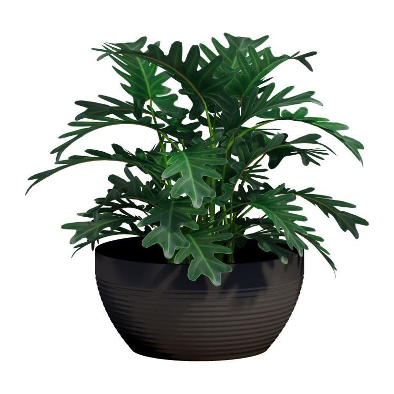 Cup - GARDEN ID - Green Care Impact Black-Anth - 25 x 12 cm - 10-year