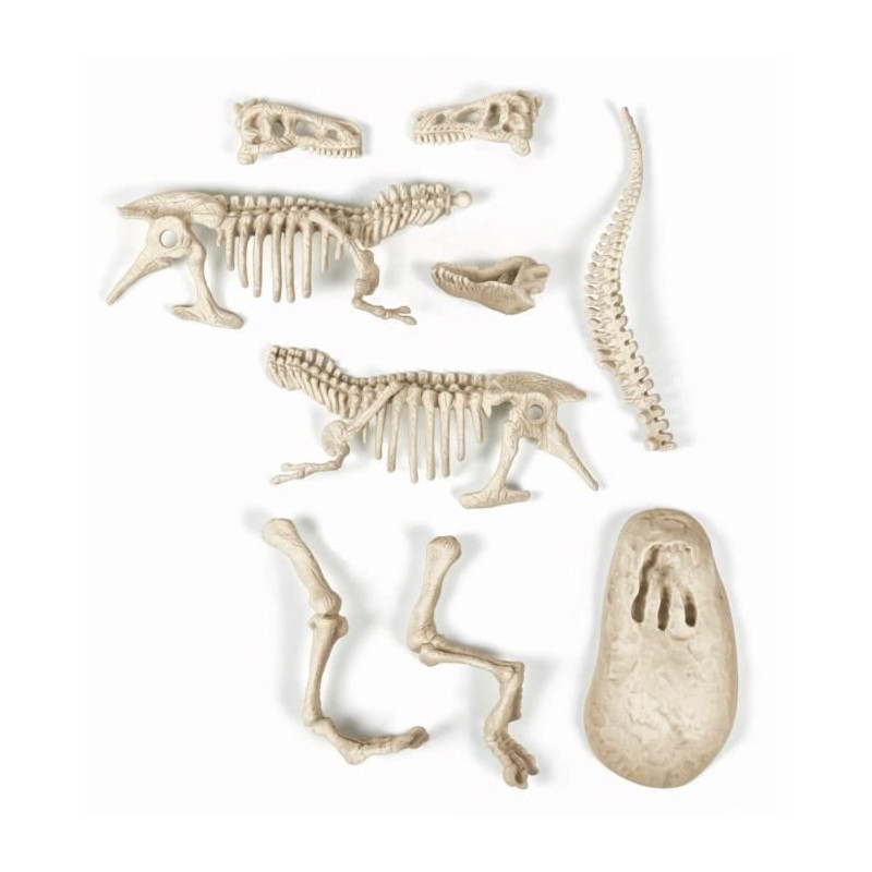 CLEMENTONI Archéo Ludic - T-Rex Phosphorescent - Science & Jeu