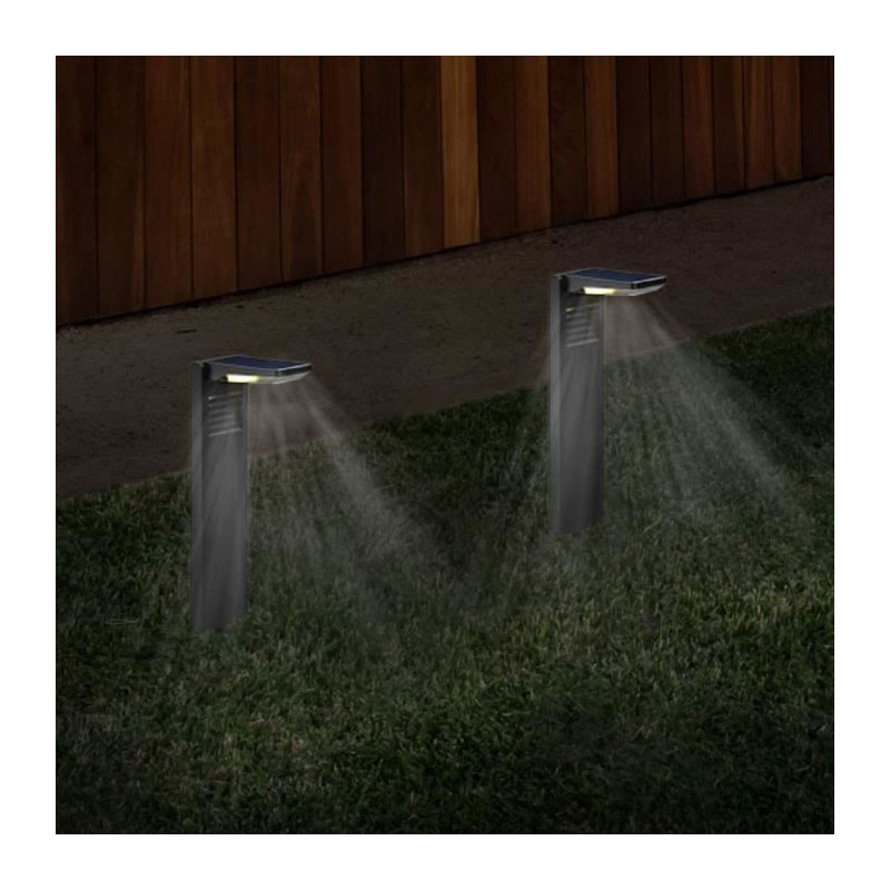 Set of 2 solar beacons to plant - LUMISKY - OSTRY - H41 cm - cold whit