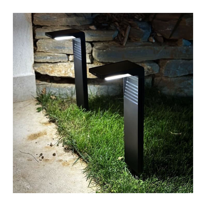 Set of 2 solar beacons to plant - LUMISKY - OSTRY - H41 cm - cold whit