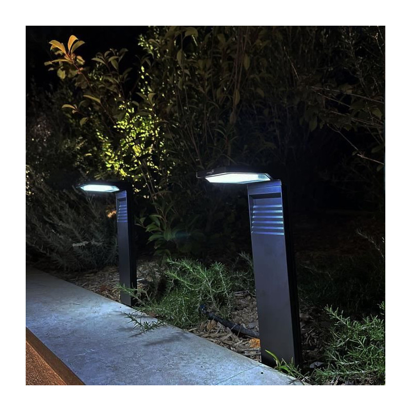Set of 2 solar beacons to plant - LUMISKY - OSTRY - H41 cm - cold whit