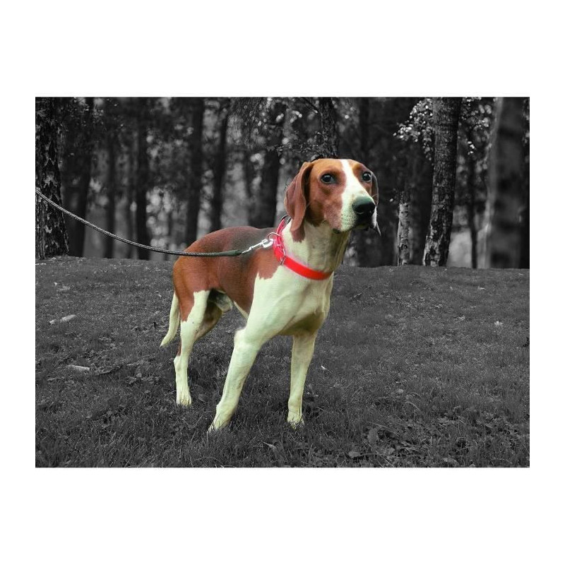YAGO Hunting collar - Orange Fluo - Ultra Resistant for Dog