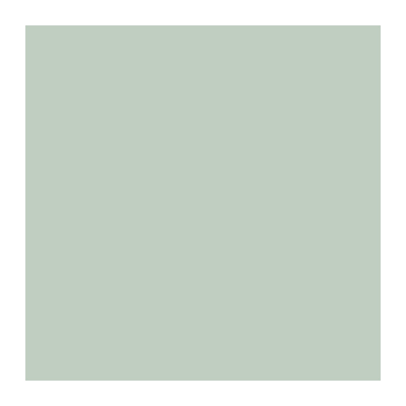 RIPOLIN Peinture Couleur Satin Ultra Couvrante pour Cuisine, Chambre,