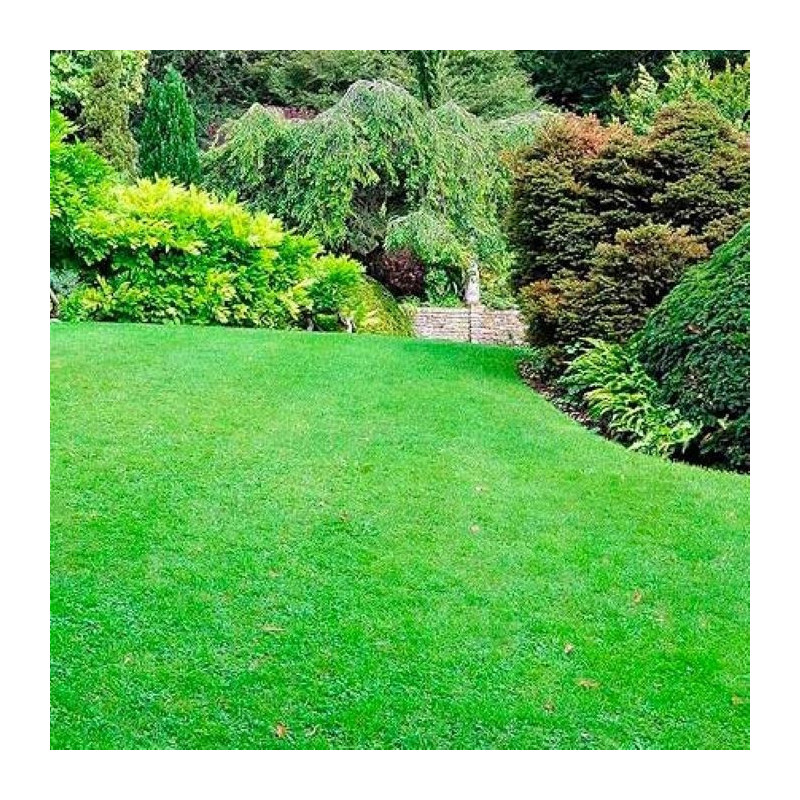 Engrais gazon organique 2.5 kg - FERTILIGENE - NATGAZ1C