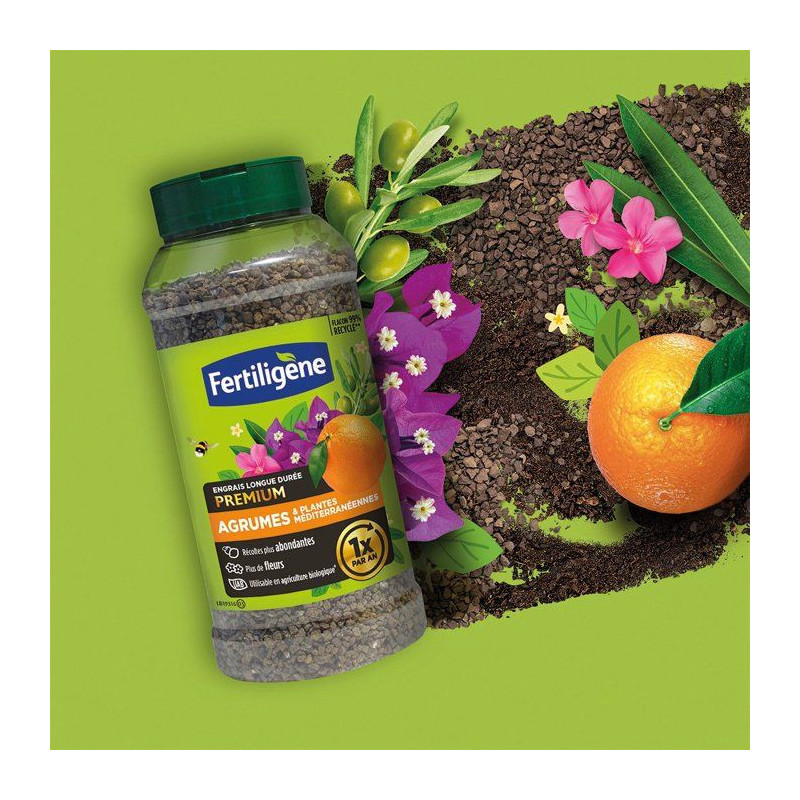 Engrais longue durée premium agrumes plantes méditerranéennes 600 g