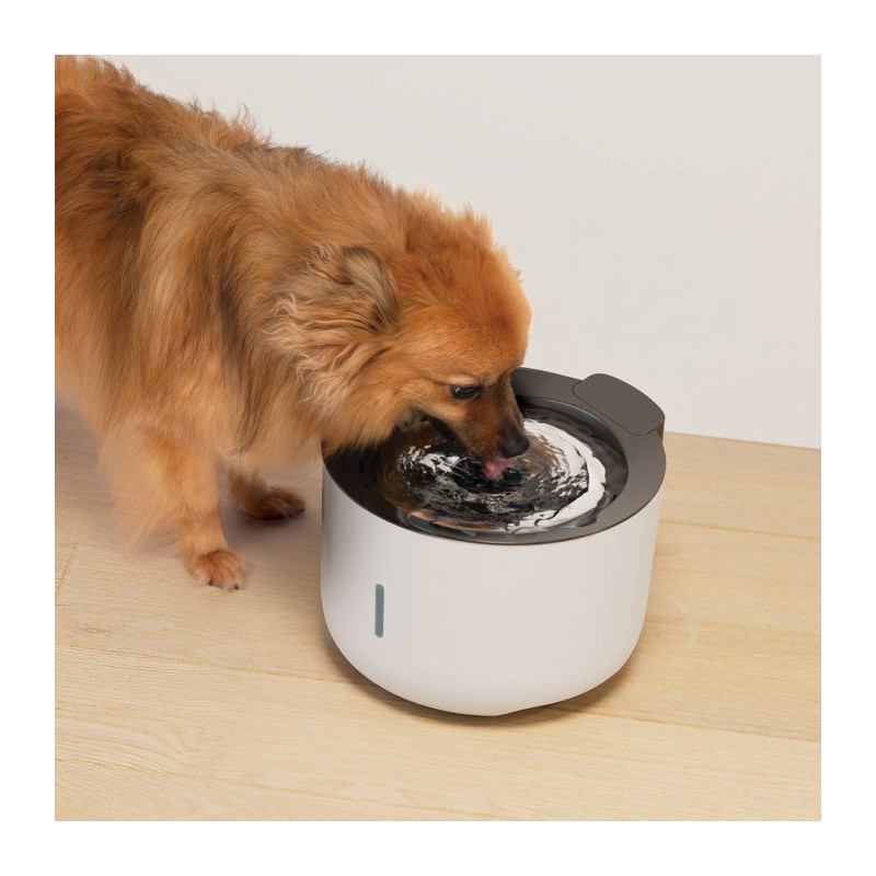 Fontaine a eau pour chiens - ZEUS - Oasis - Capacité 3 L