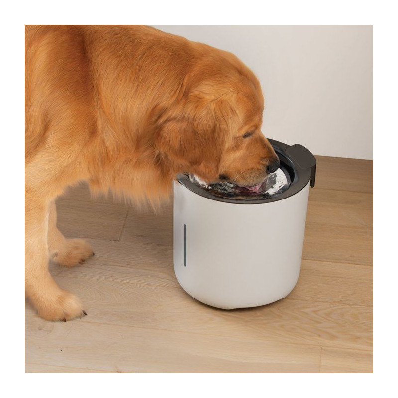 Fontaine a eau pour chiens - ZEUS - Oasis - Capacité 6 L