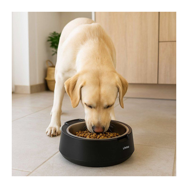 Gamelle avec balance intégrée - LIVOO - PET109N - Capacité 5 kg -
