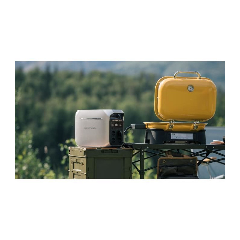 Station d'alimentation portable - EcoFlow - DELTA 3 Plus - Capacité 1