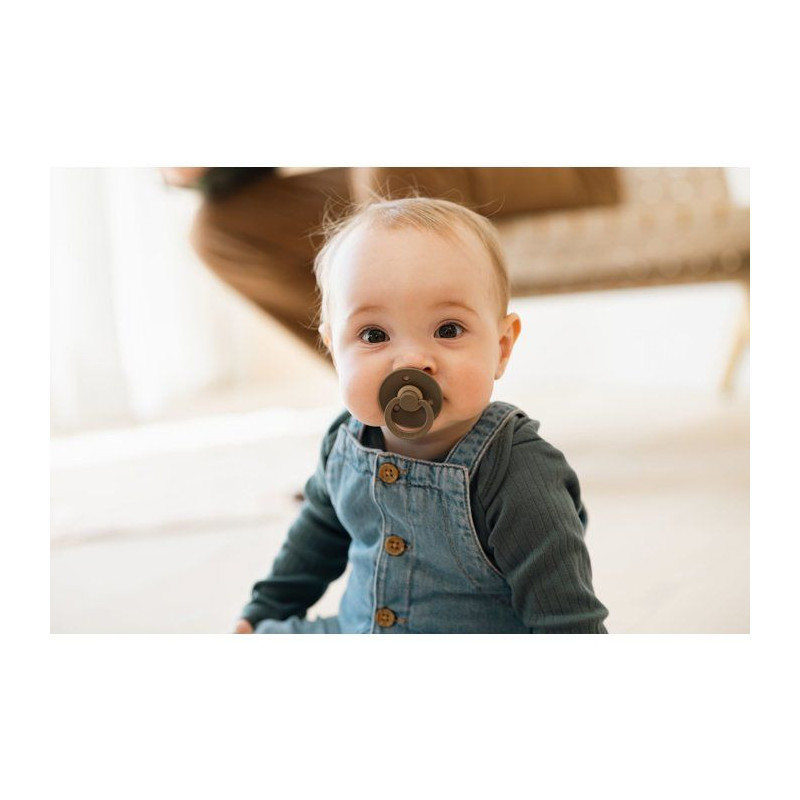 Sucette bébé - BIBS - Colour - Embout rond - Pack de 2 - Caoutchouc