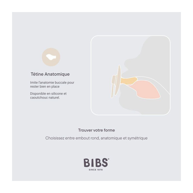 Sucette bébé - BIBS - Colour - Embout anatomique - Pack de 2 - Caout