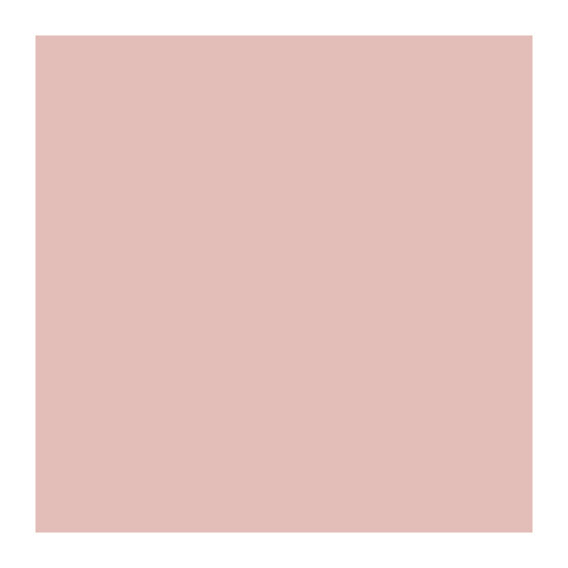 RIPOLIN Ultra Covering Satin Color Paint for Kitchen, Bedroom, Living