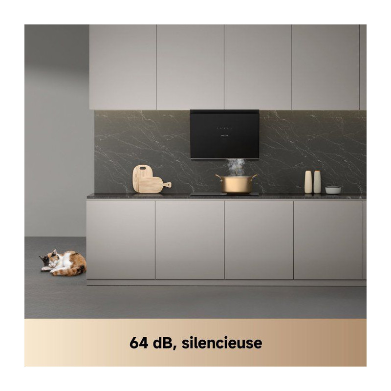 Hotte inclinée de cuisine - DREAME - Z6000 (type HZ60) - 60 cm - noir