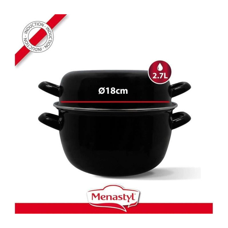 THEKITCHENETTE Marmite pot 3645567 2,7L All heat sources including ind