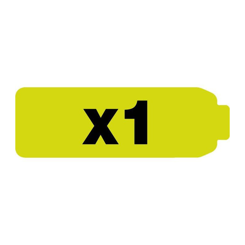 RYOBI Gonfleur 4V USB Lithium pneus vélo ballons - batterie 2Ah + cha