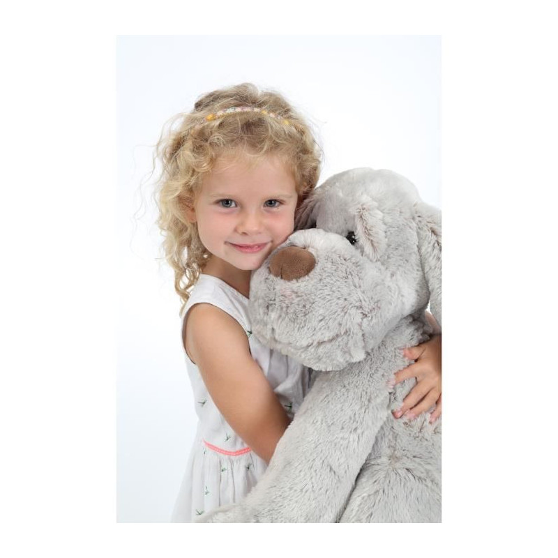 GIPSY Dog Flatoutou 50 cm Gray