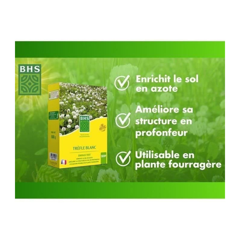 White Clover - BHS - 500 m² | Promotes biodiversity, adapts to all so