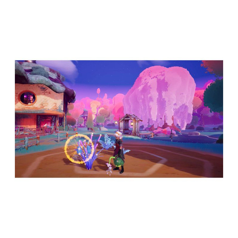 Wanderstop • Jeu Nintendo Switch 2