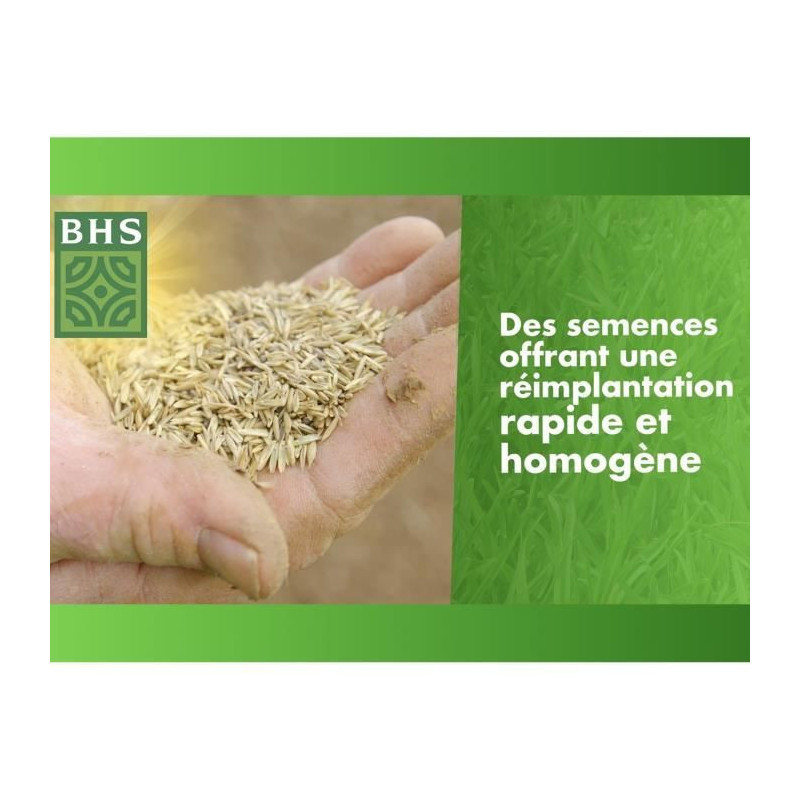 Lawn - BHS - Lawn Regrowth 5kg