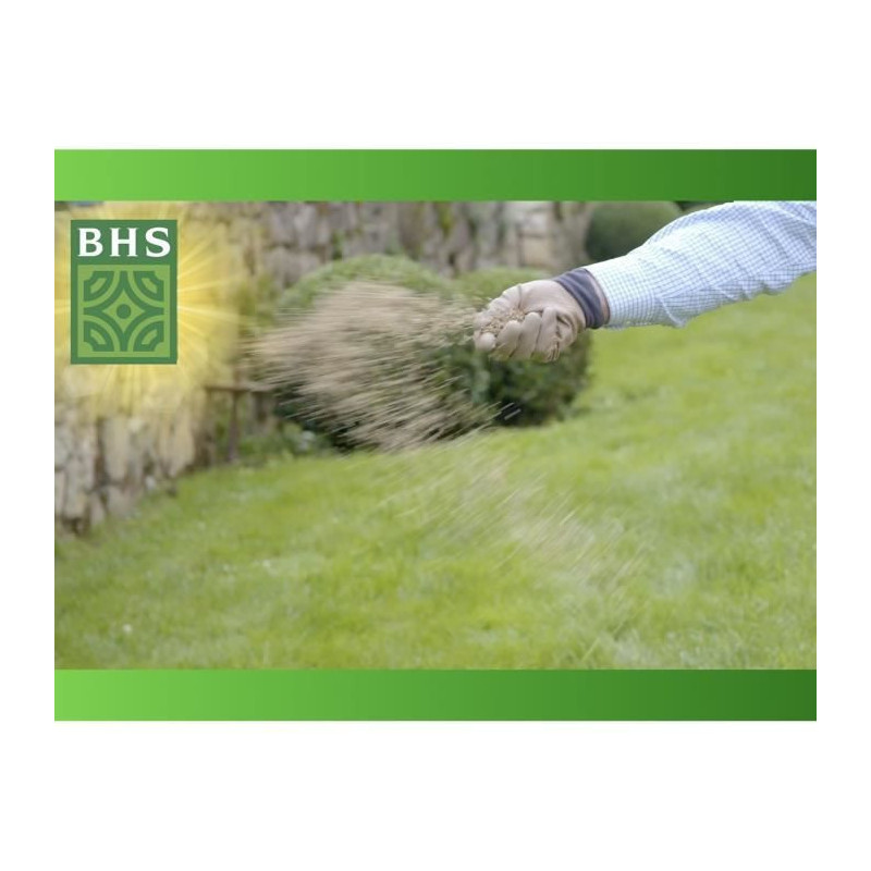 Lawn - BHS - Lawn Regrowth 5kg
