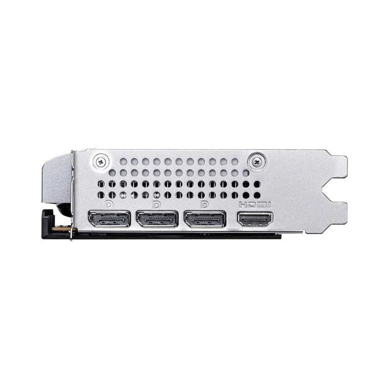 Carte graphique - MSI - GeForce RTX 5060 VENTUS 2X OC 8G - 8 Go GDDR6
