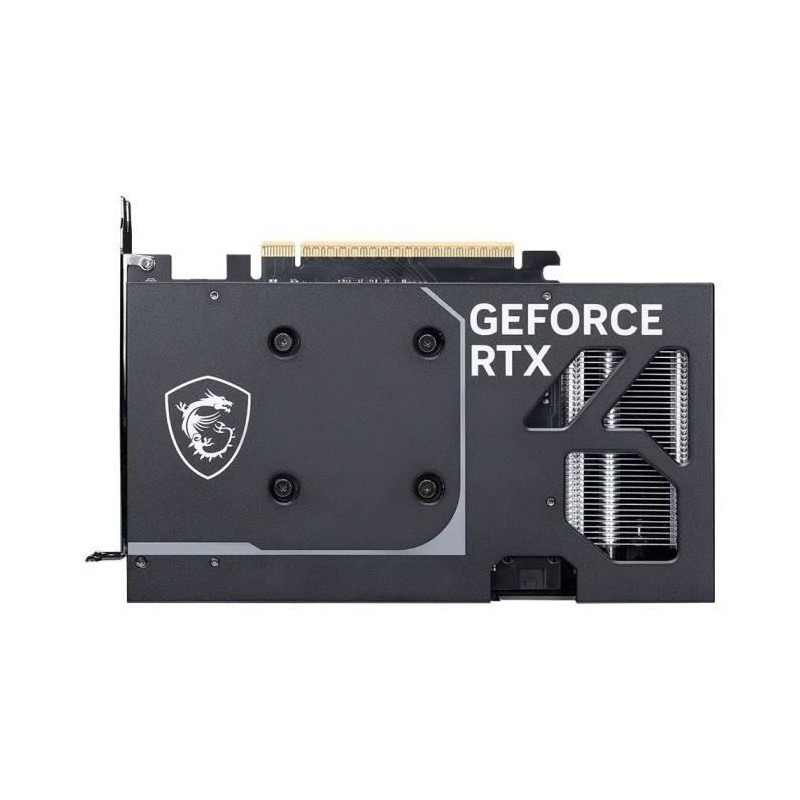 Carte graphique - MSI - GeForce RTX 5060 VENTUS 2X OC 8G - 8 Go GDDR6