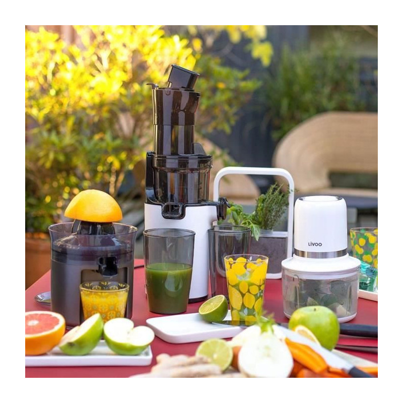 Cordless electric chopper - LIVOO - 200 W - 2 speeds - 1.2 L - 4 steel