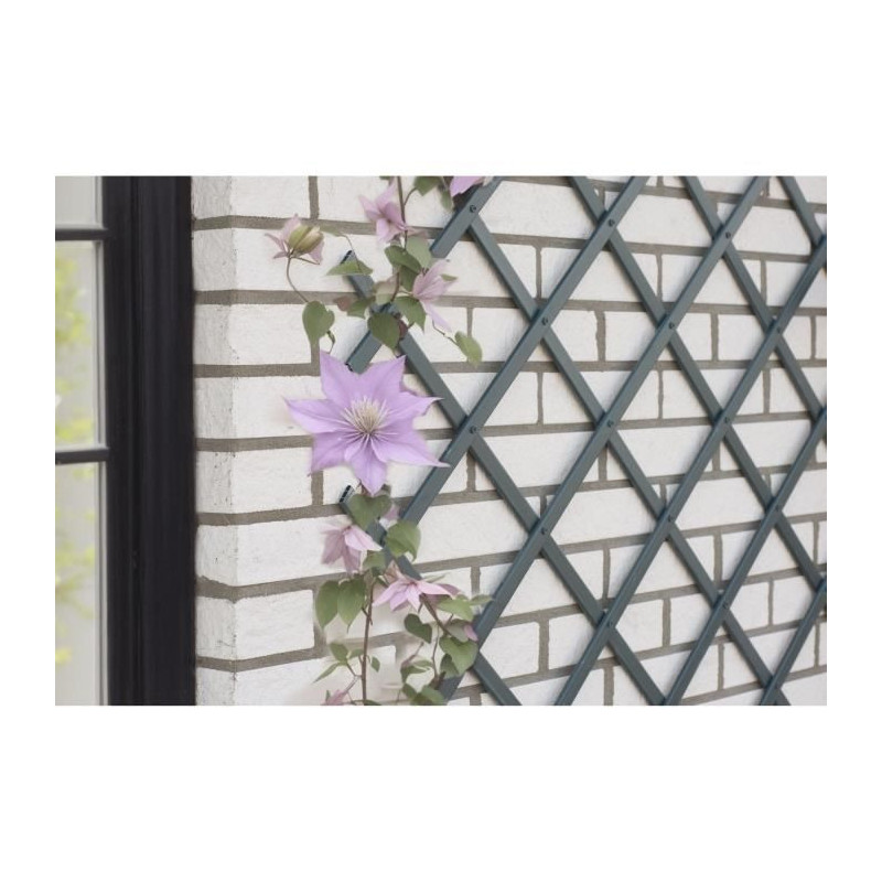 Treillis extensible - NATURE - En plastique Anthracite - 100 x 200 cm