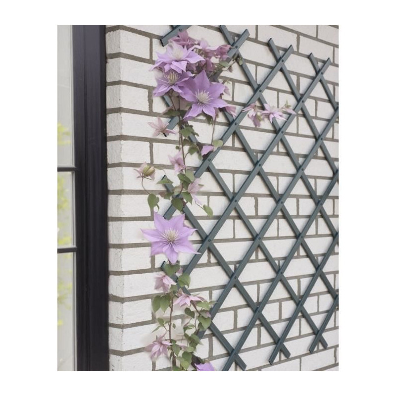 Treillis extensible - NATURE - En plastique Anthracite - 100 x 200 cm