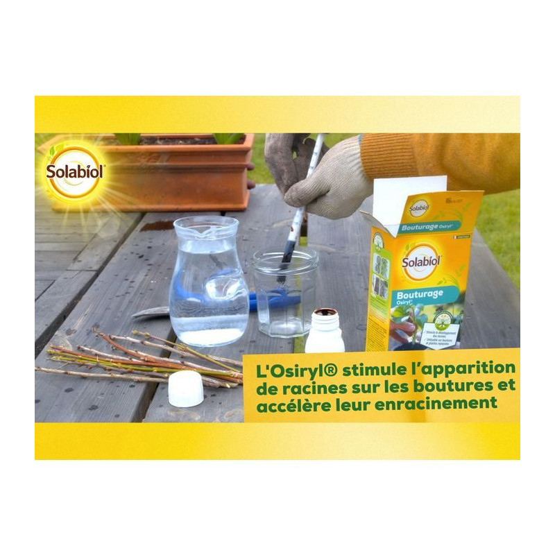 SOLABIOL SOBOUTU40 Osiryl cutting - 40 ml