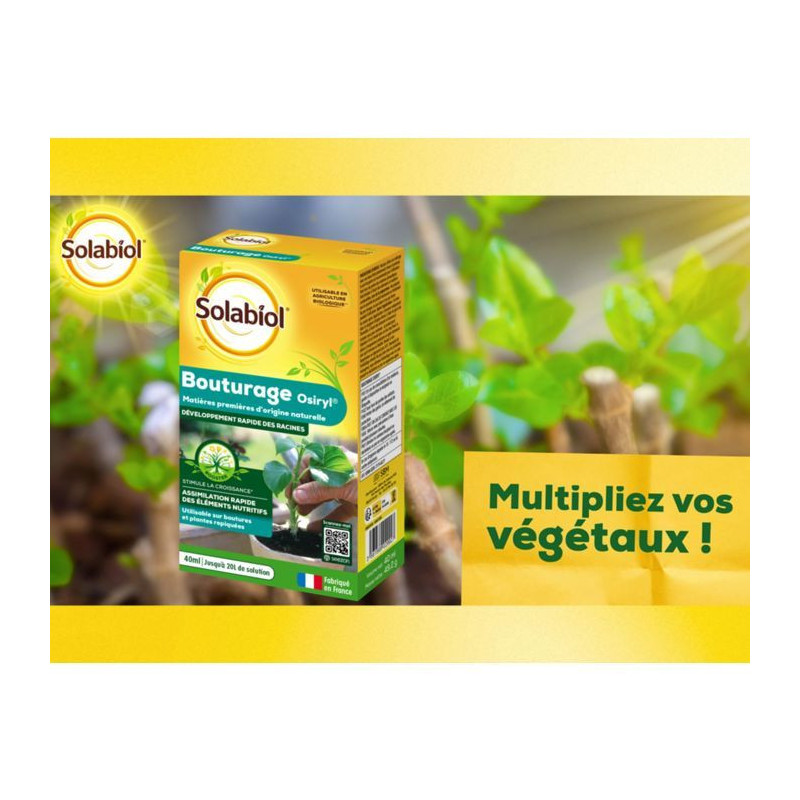 SOLABIOL SOBOUTU40 Osiryl cutting - 40 ml