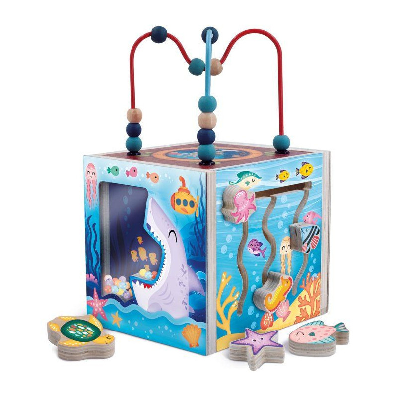 Jouer et Apprendre Cube Sensoriel - Cube multi-activités - LISCIANI -
