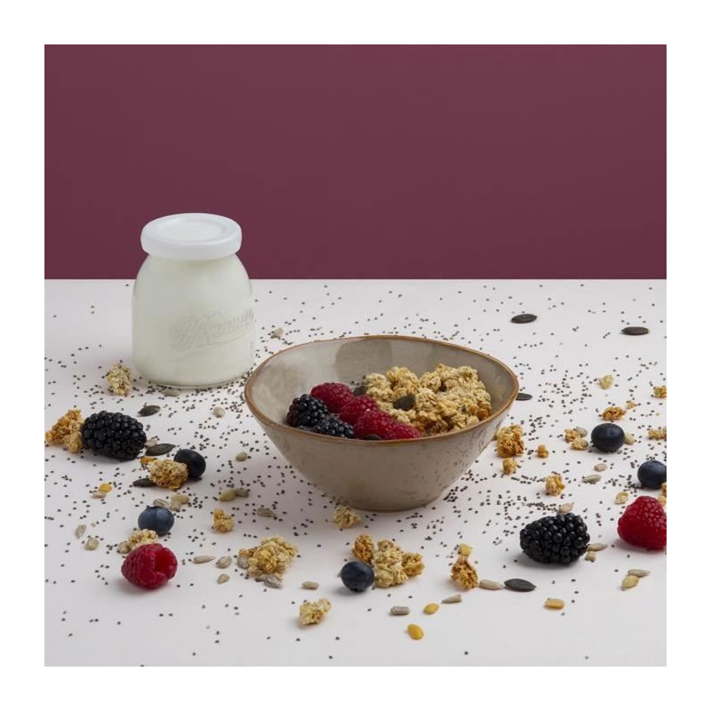 HKoeNIG 12-pot yogurt maker