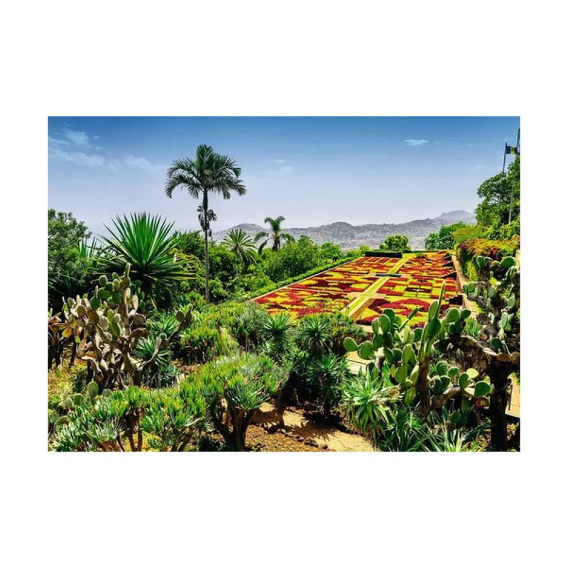 Puzzle 1000 pieces - NATHAN JEUX - Ravensburger - Botanique - Paysage