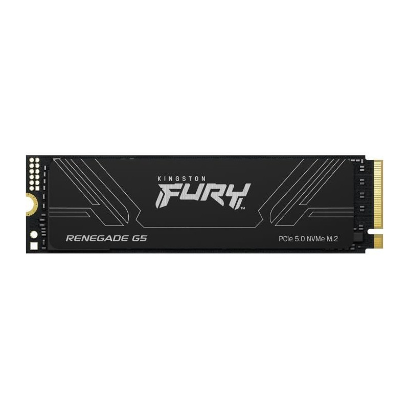 KINGSTON - FURY Renegade G5 - SSD interne - 1 To - M.2 2280 - PCI Expr