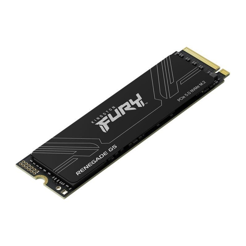 KINGSTON - FURY Renegade G5 - SSD interne - 1 To - M.2 2280 - PCI Expr
