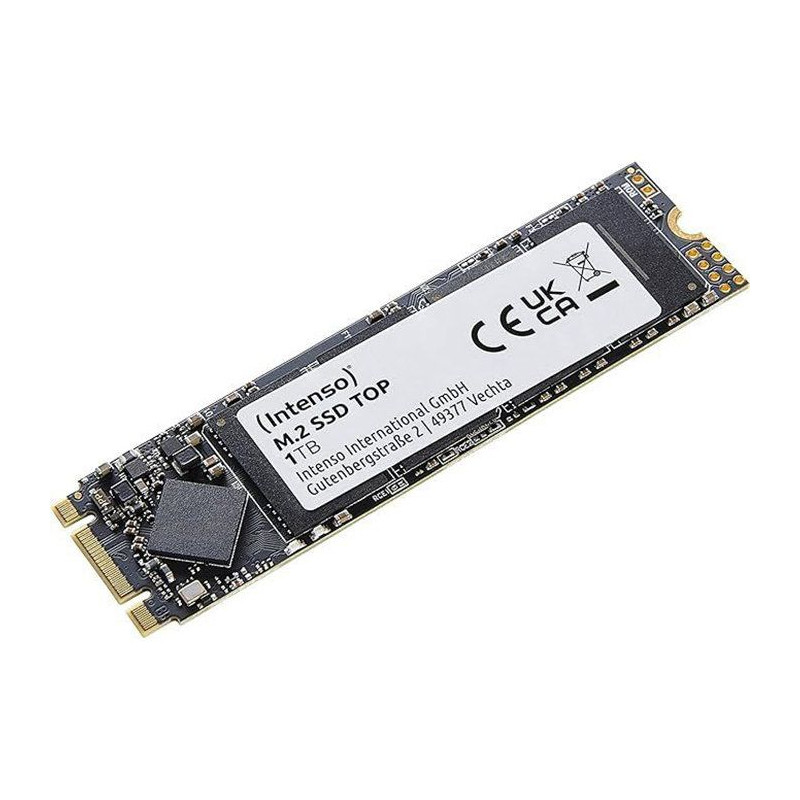 INTENSO - Top - SSD Interne - 1 To - M.2 SATA III 6 Gb/s - Vitesse de