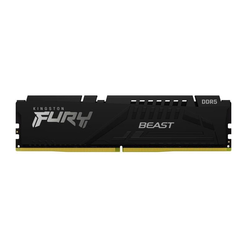 KINGSTON TECHNOLOGY Beast RAM DDR5 16 Go (2 x 8 Go) 5600 MHz CL40
