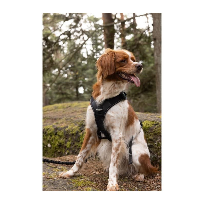 Dog Harness - SYMBIOZ - XXS - Black / Blue